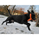 Major Dog Whirl- Small - Retrieval Toy - Pet Care > Toys > Dog Toys