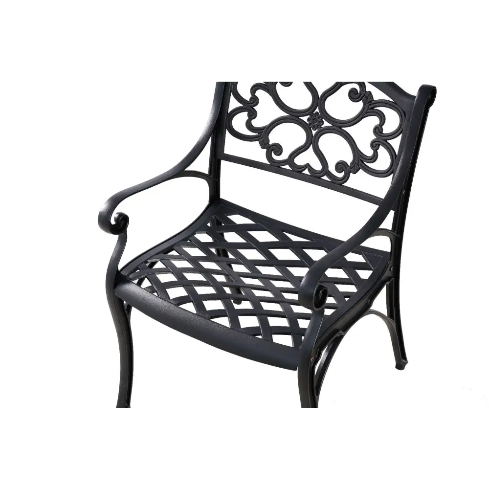 MARCO ALUMINIUM CHAIR(one pair) - Furniture > Outdoor