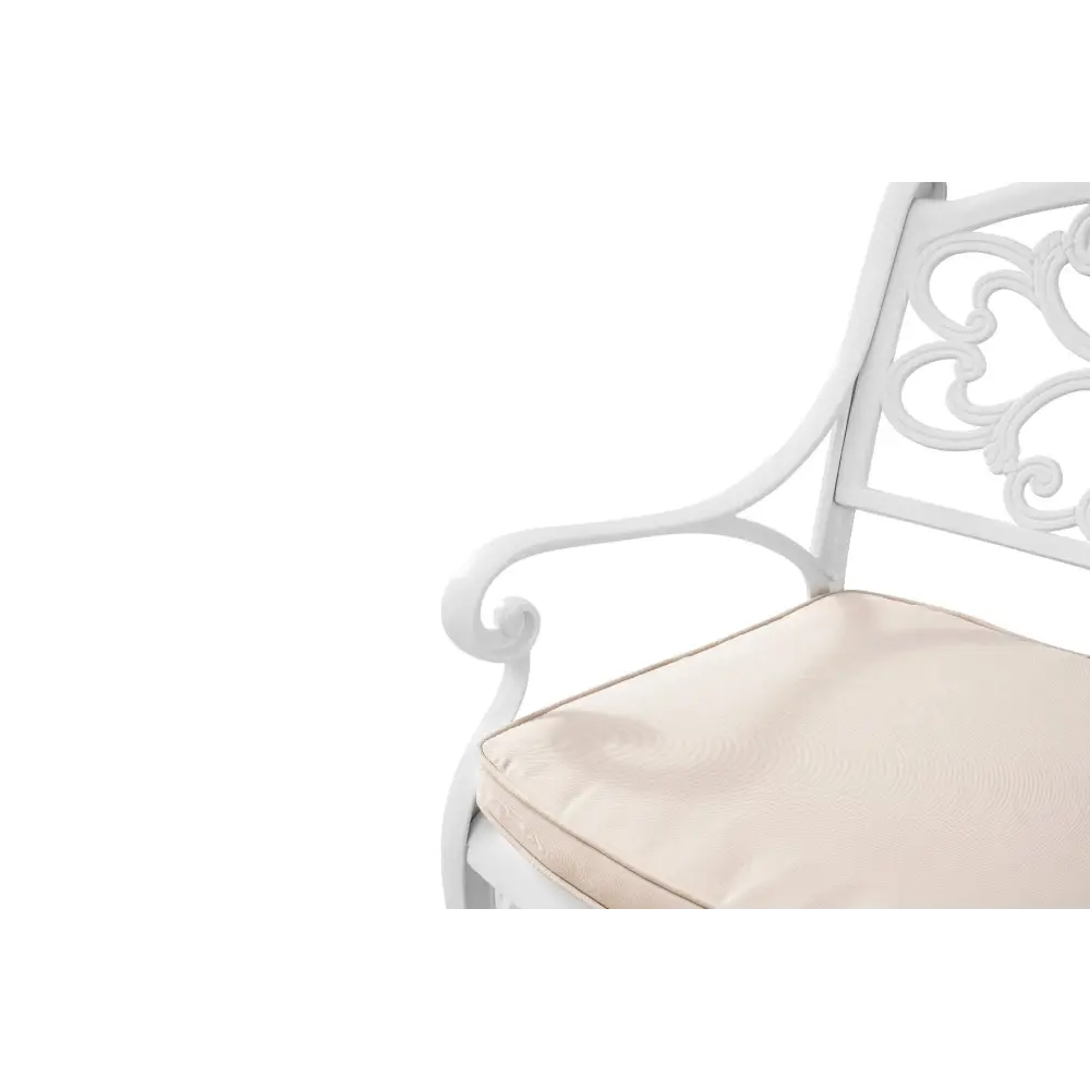 MARCO ALUMINIUM CHAIR (one pair) - Furniture > Outdoor