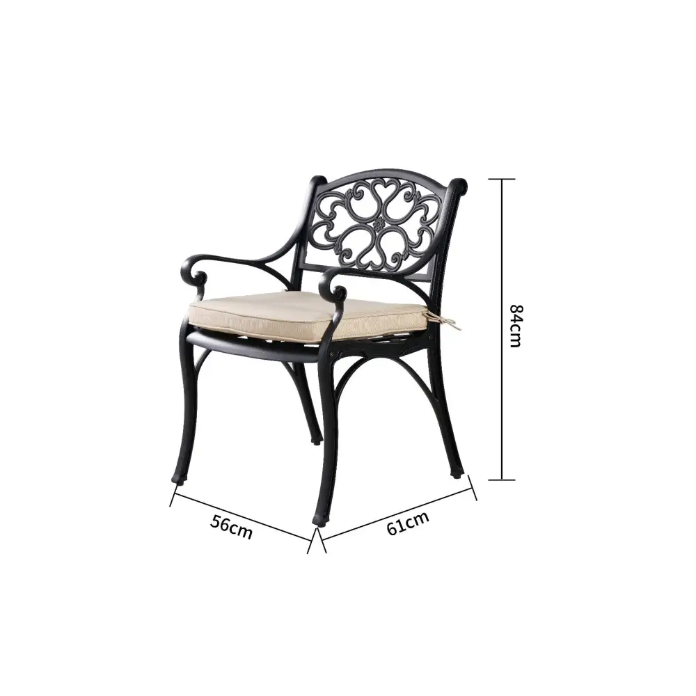 MARCO ALUMINIUM CHAIR(one pair) - Furniture > Outdoor
