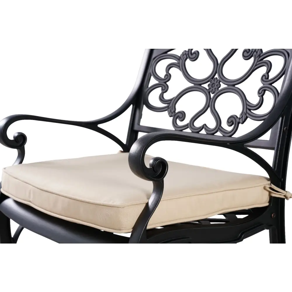MARCO ALUMINIUM CHAIR(one pair) - Furniture > Outdoor