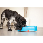 Marley Slowappy Slow Feeder Bowl - Blue - Pet Care > Dog Supplies > Dog Bowls Feeders & Waterers