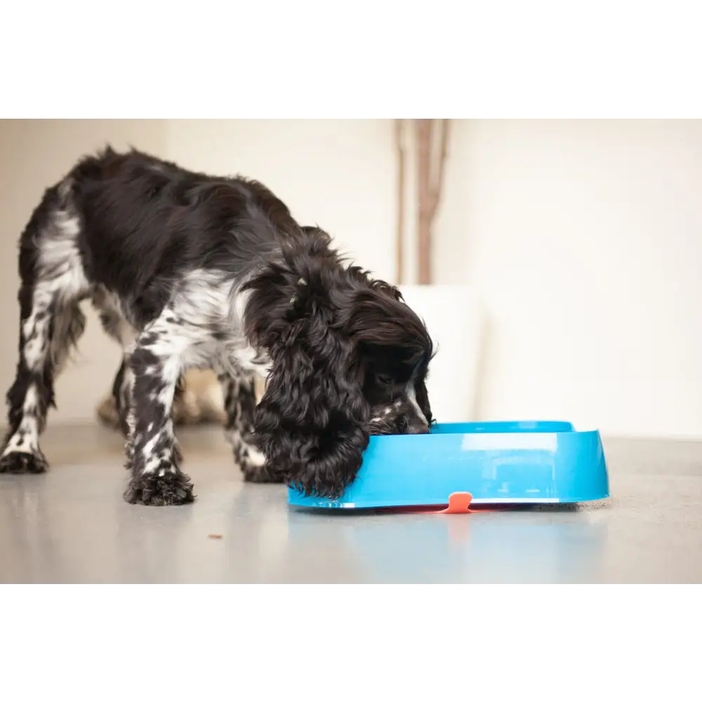 Marley Slowappy Slow Feeder Bowl - Blue - Pet Care > Dog Supplies > Dog Bowls Feeders & Waterers