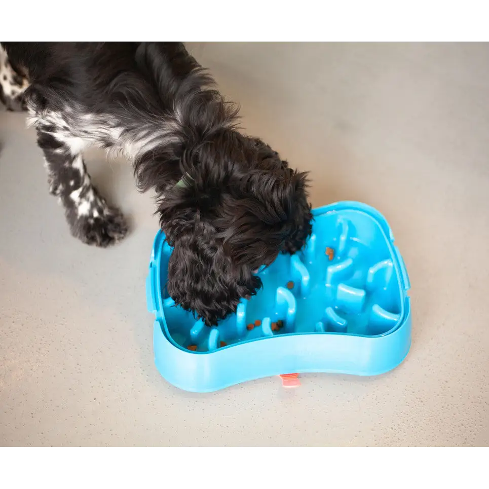 Marley Slowappy Slow Feeder Bowl - Blue - Pet Care > Dog Supplies > Dog Bowls Feeders & Waterers