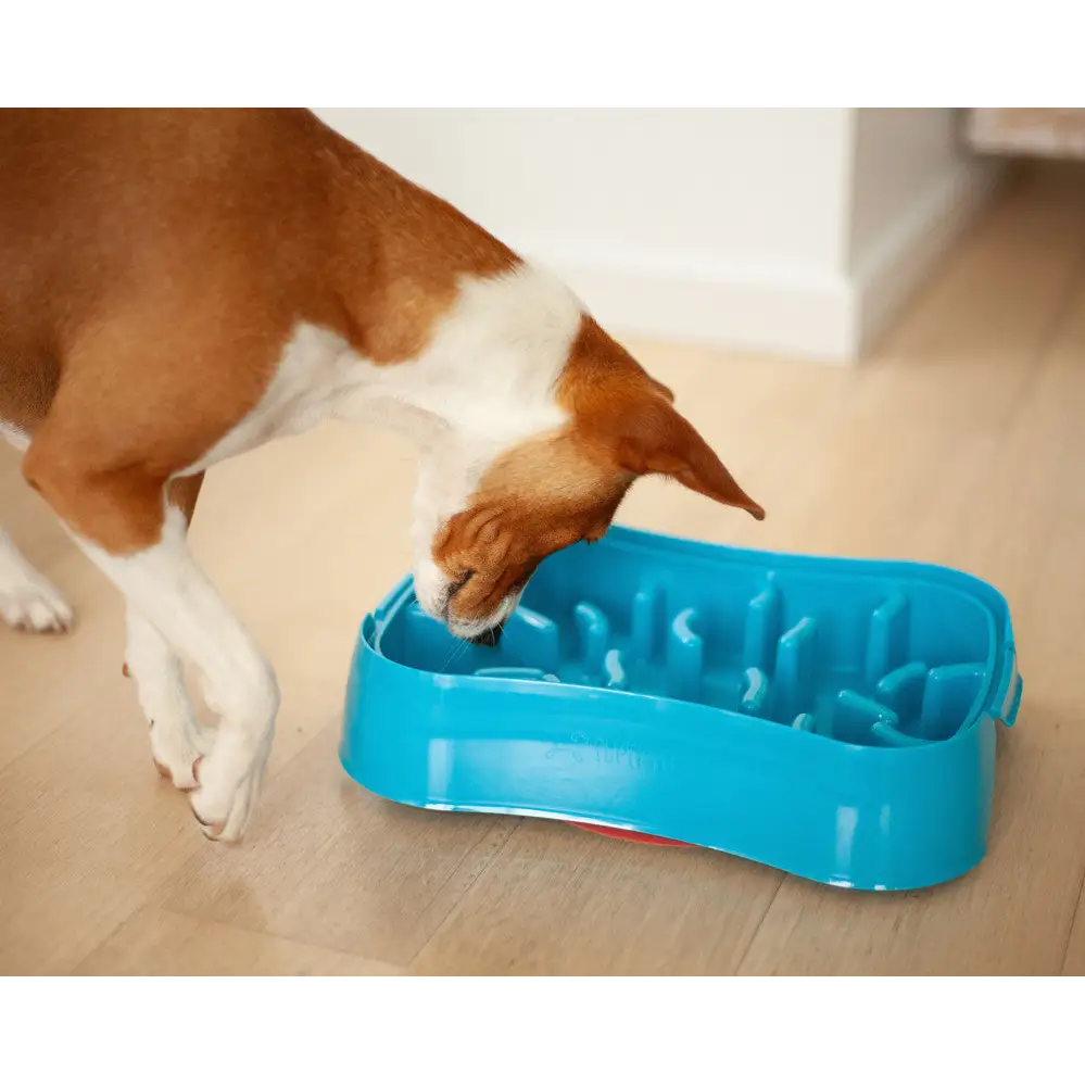 Marley Slowappy Slow Feeder Bowl - Blue - Pet Care > Dog Supplies > Dog Bowls Feeders & Waterers
