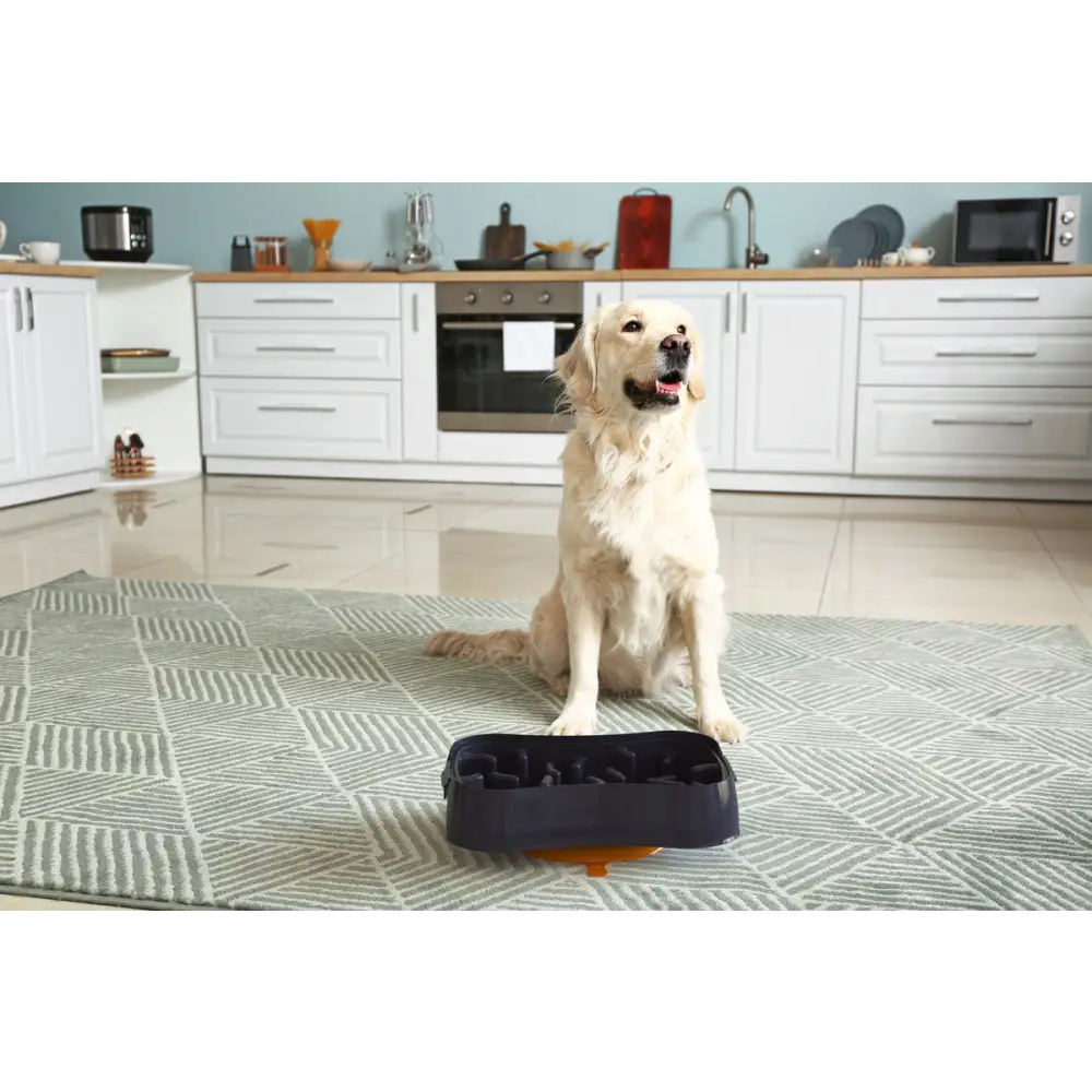 Marley Slowappy Slow Feeder Bowl - Dark Grey - Pet Care > Dog Supplies > Dog Bowls Feeders & Waterers