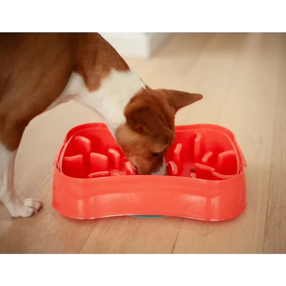Marley Slowappy Slow Feeder Bowl - Warm Ocean Red - Pet Care > Dog Supplies > Dog Bowls Feeders & Waterers