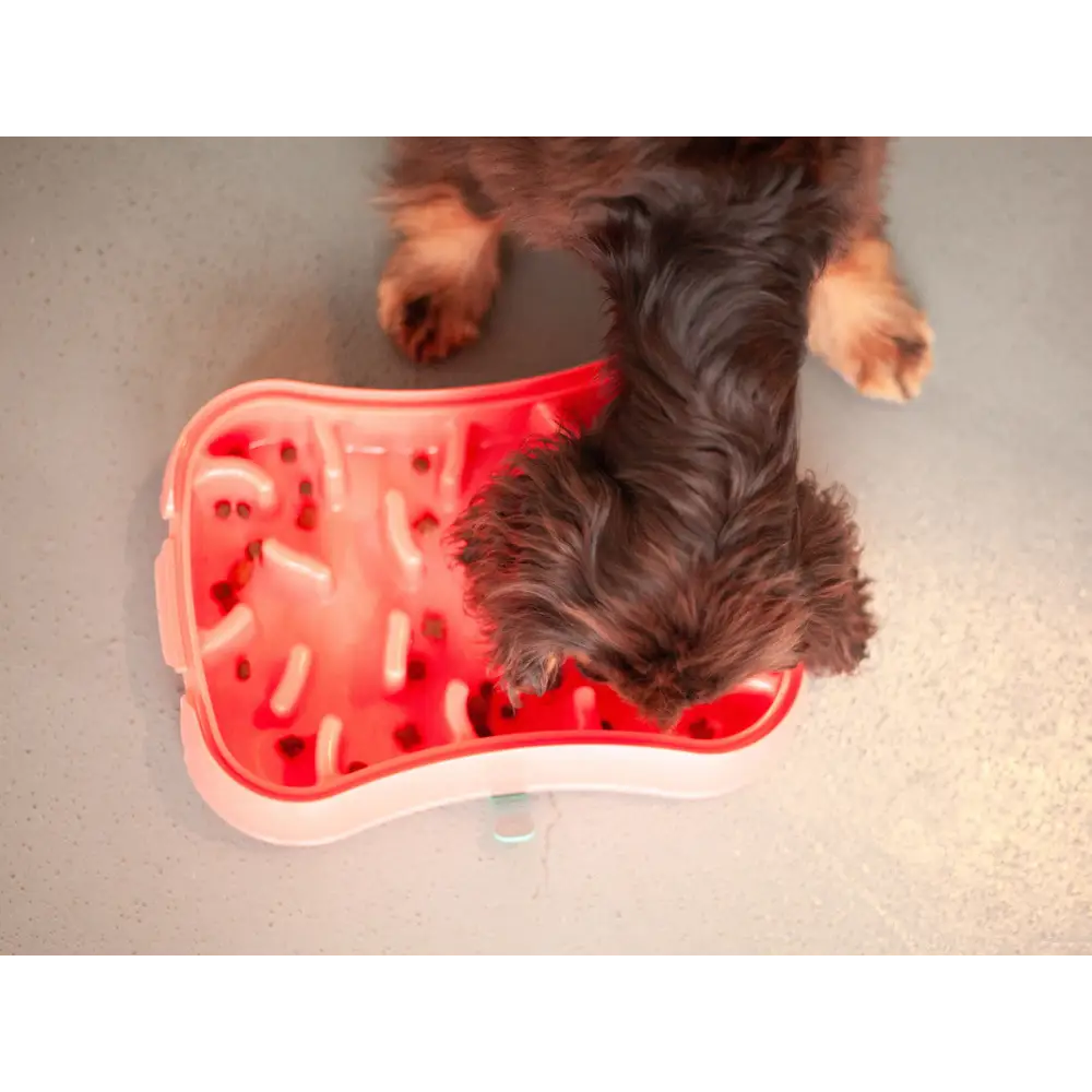 Marley Slowappy Slow Feeder Bowl - Warm Ocean Red - Pet Care > Dog Supplies > Dog Bowls Feeders & Waterers