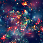 Milano Decor Solar Powered Outdoor Fairy Lights - Multicoloured - 200 Lights - Home & Garden > Lighting