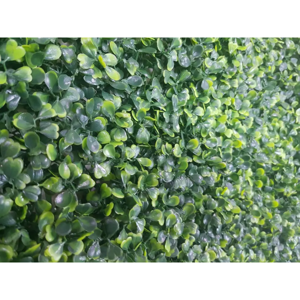 Mixed Boxwood Hedge Panels / Screens UV Resistant 1m x 1m - Home & Garden > Artificial Plants