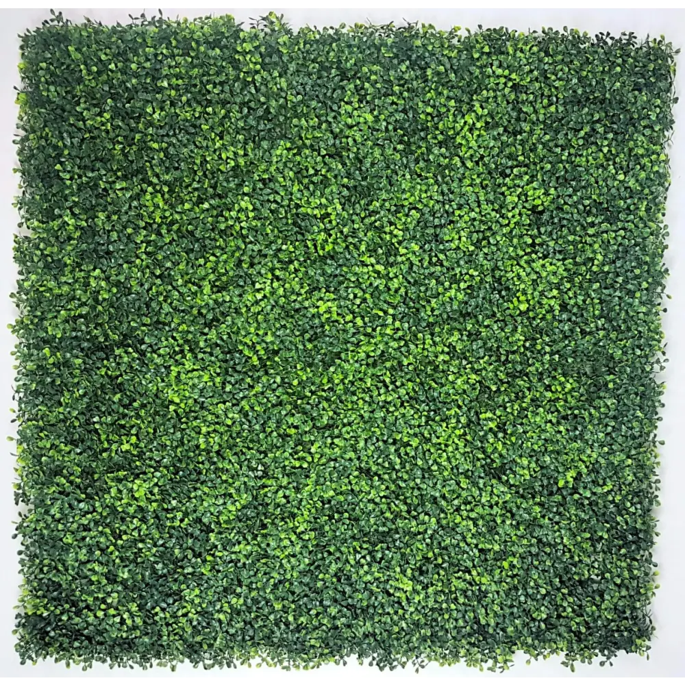 Mixed Boxwood Hedge Panels / Screens UV Resistant 1m x 1m - Home & Garden > Artificial Plants