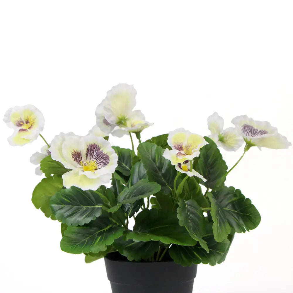 Mixed White Flowering Potted Artificial Pansy Plants 25cm - Home & Garden > Artificial Plants