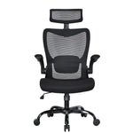 MONA Ergonomic High Back Flipped Armrest Task Chair In Black - Furniture > Office