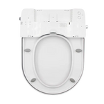 Non Electric Bidet Toilet Seat W/ Cover Bathroom Spray Water Wash - Home & Garden > DIY > Kitchen & Bathroom DIY