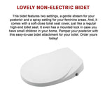 Non Electric Bidet Toilet Seat W/ Cover Bathroom Spray Water Wash - Home & Garden > DIY > Kitchen & Bathroom DIY