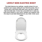Non Electric Bidet Toilet Seat W/ Cover Bathroom Spray Water Wash - Home & Garden > DIY > Kitchen & Bathroom DIY