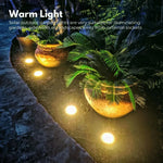 NOVEDEN 12 Pack Waterproof Solar LED Light (Warm) NE-SL-106-ZL - Home & Garden > Garden Lights