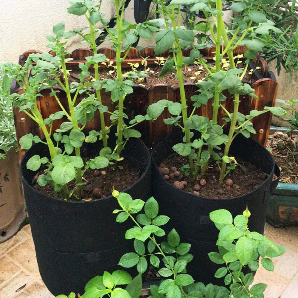 NOVEDEN 5 Packs 10 Gallon Plant Grow Bags with Window Flap (Dark Green) NE-PB-104-KJ - Home & Garden > Garden Beds