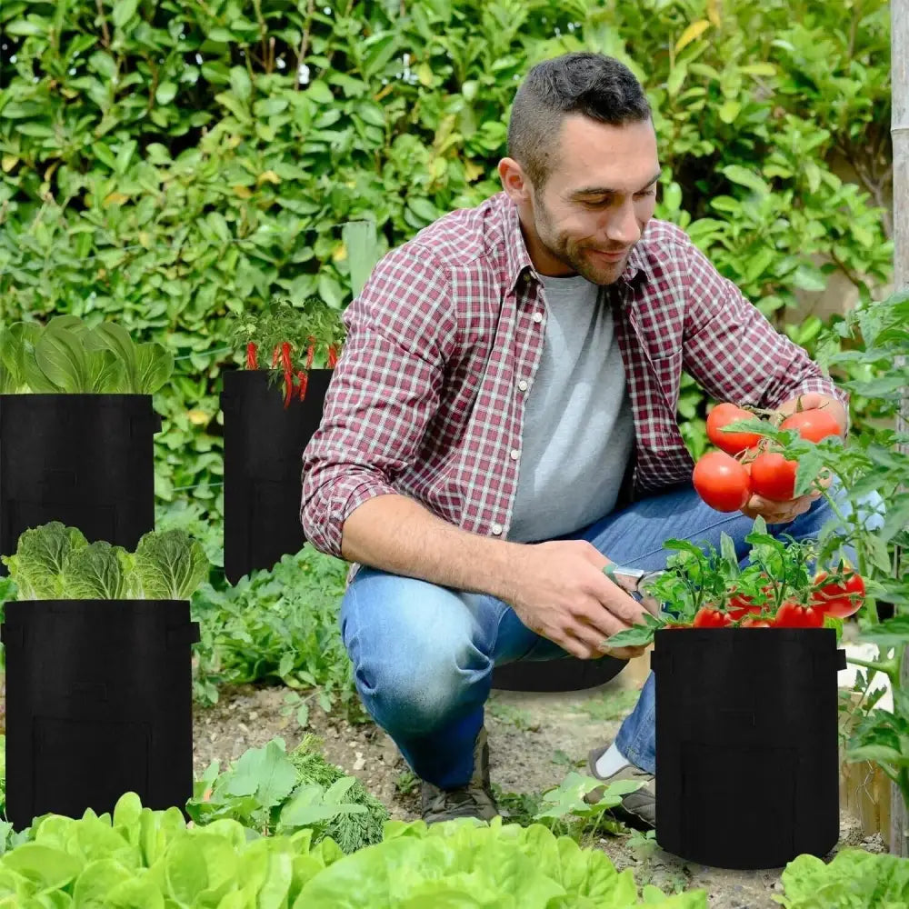 NOVEDEN 5 Packs 10 Gallon Plant Grow Bags with Window Flap (Dark Green) NE-PB-104-KJ - Home & Garden > Garden Beds