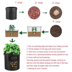 NOVEDEN 5 Packs 7 Gallon Plant Grow Bags with Window Flap (Black) NE-PB-100-KJ - Home & Garden > Garden Beds