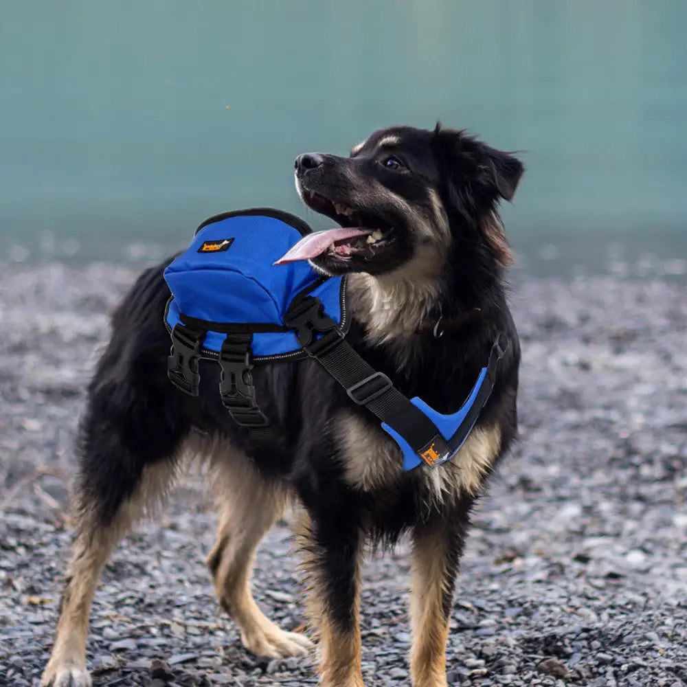 Ondoing Dog Backpack Harness Pet Saddle Bag Reflective Adjustable Outdoor Hiking-L-Blue - Pet Care > Cat Supplies > Cat