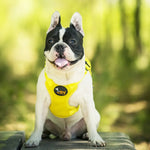 Ondoing Pet Saddle Bag Dog Harness Backpack Hiking Traveling Outdoor Bags Cute Costume (Pink pig bag with leash)L - Pet