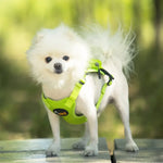 Ondoing Pet Saddle Bag Dog Harness Backpack Hiking Traveling Outdoor Bags Cute Costume (Pink pig bag with leash)L - Pet