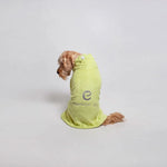 Organic Luxury Bamboo & Cotton Dog Bathrobe - Pet Care > Cleaning & Maintenance > Pet Grooming Supplies