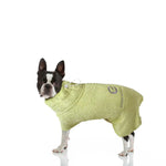 Organic Luxury Bamboo & Cotton Dog Bathrobe - Pet Care > Cleaning & Maintenance > Pet Grooming Supplies