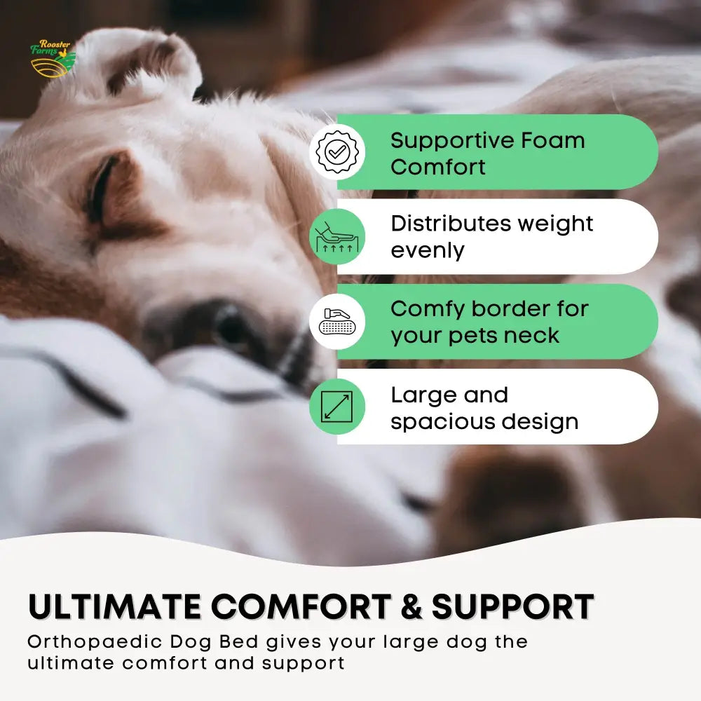 Orthopaedic Dog Bed XL Grey - Memory Foam Mattress Waterproof Removable Cover - Pet Care > Dog Supplies > Dog Beds