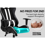 OVERDRIVE Diablo Reclining Gaming Chair Black & White Seat Computer Office Neck Lumbar Horns - Furniture > Office