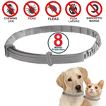 PawfectFriend Flea Collar for Dogs 8 Months Natural Flea Tick Collar for Dog Puppy - Pet Care > Dog Supplies > Dog