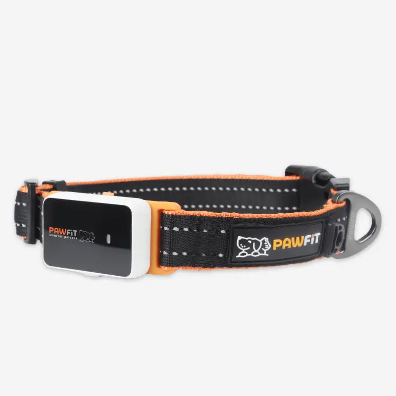 Pawfit 3 Collar Small - Pet Care > Dog Supplies > Dog Beds