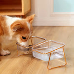 Pet Dog Cat Puppy Food Water Bowls Feeding Dishes 2 Large Bowl Dishwasher Safe - Pet Care > Dog Supplies > Dog Bowls