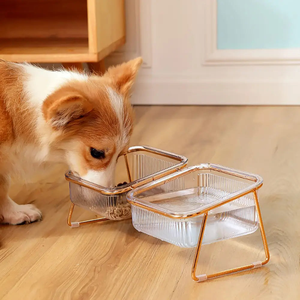 Pet Dog Cat Puppy Food Water Bowls Feeding Dishes 2 Large Bowl Dishwasher Safe - Pet Care > Dog Supplies > Dog Bowls