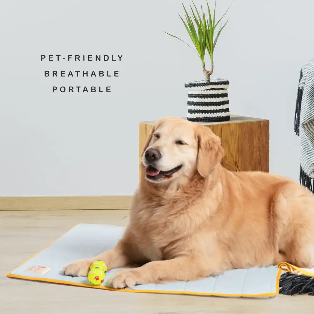 Pet Dog Cooling Mat Non-Slip Travel Roll Up Cool Pad Bed Outdoor M PINK - Pet Care > Dog Supplies > Dog Beds