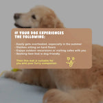 Pet Dog Cooling Mat Non-Slip Travel Roll Up Cool Pad Bed Outdoor M BLUE - Pet Care > Dog Supplies > Dog Beds