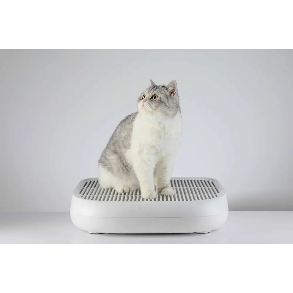 PETKIT Cat Litter Trapper - Pet Care > Cat Supplies > Cat Litter