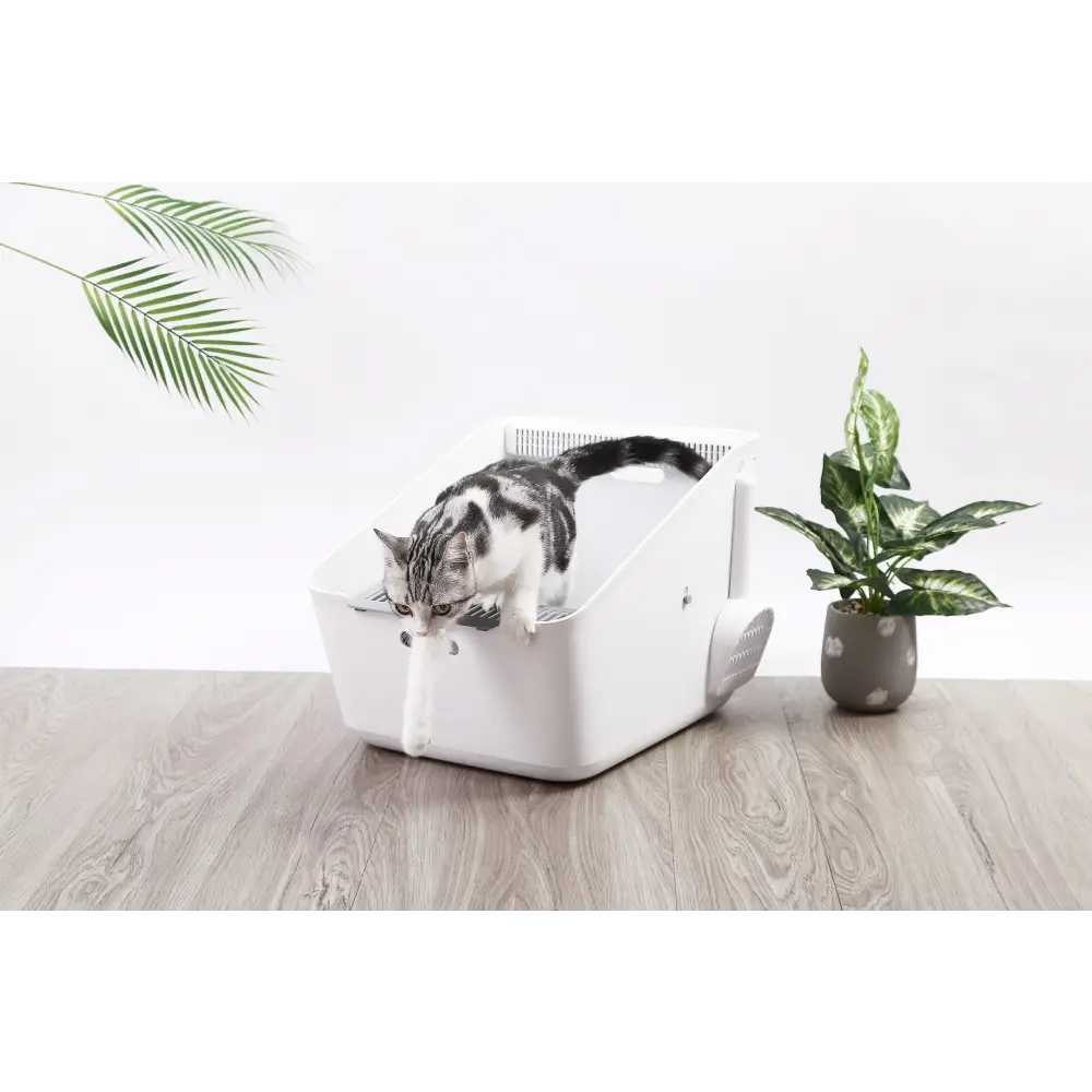 PETKIT Pura Cat Litter Box - Pet Care > Cat Supplies > Cat Litter