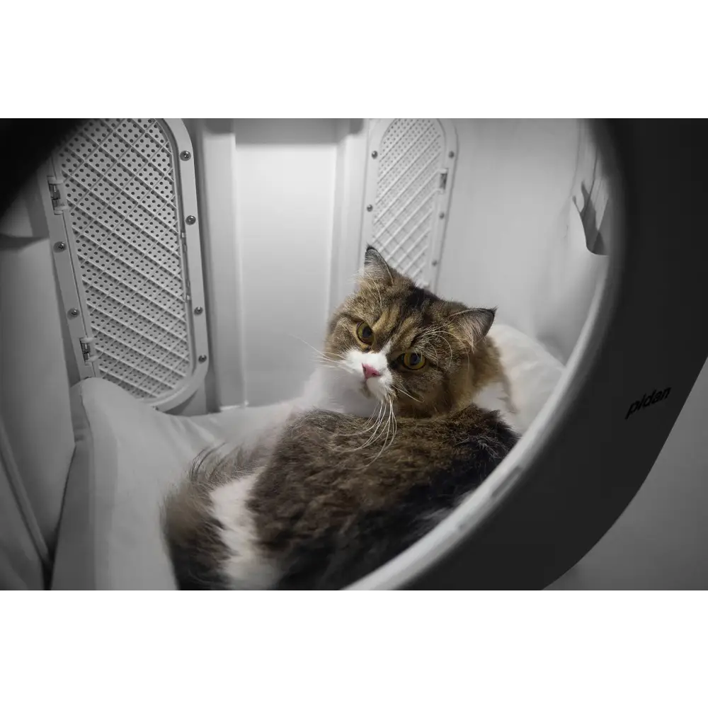 PIDAN Wheeled Pet Carrier Ventilation Type - Pet Care > Cat Supplies > Cat Carriers & Crates