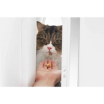 PIDAN Wheeled Pet Carrier Ventilation Type - Pet Care > Cat Supplies > Cat Carriers & Crates