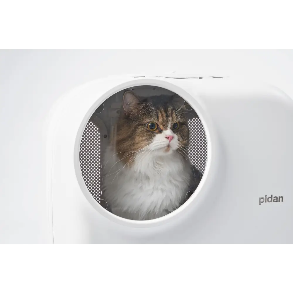 PIDAN Wheeled Pet Carrier Ventilation Type - Pet Care > Cat Supplies > Cat Carriers & Crates