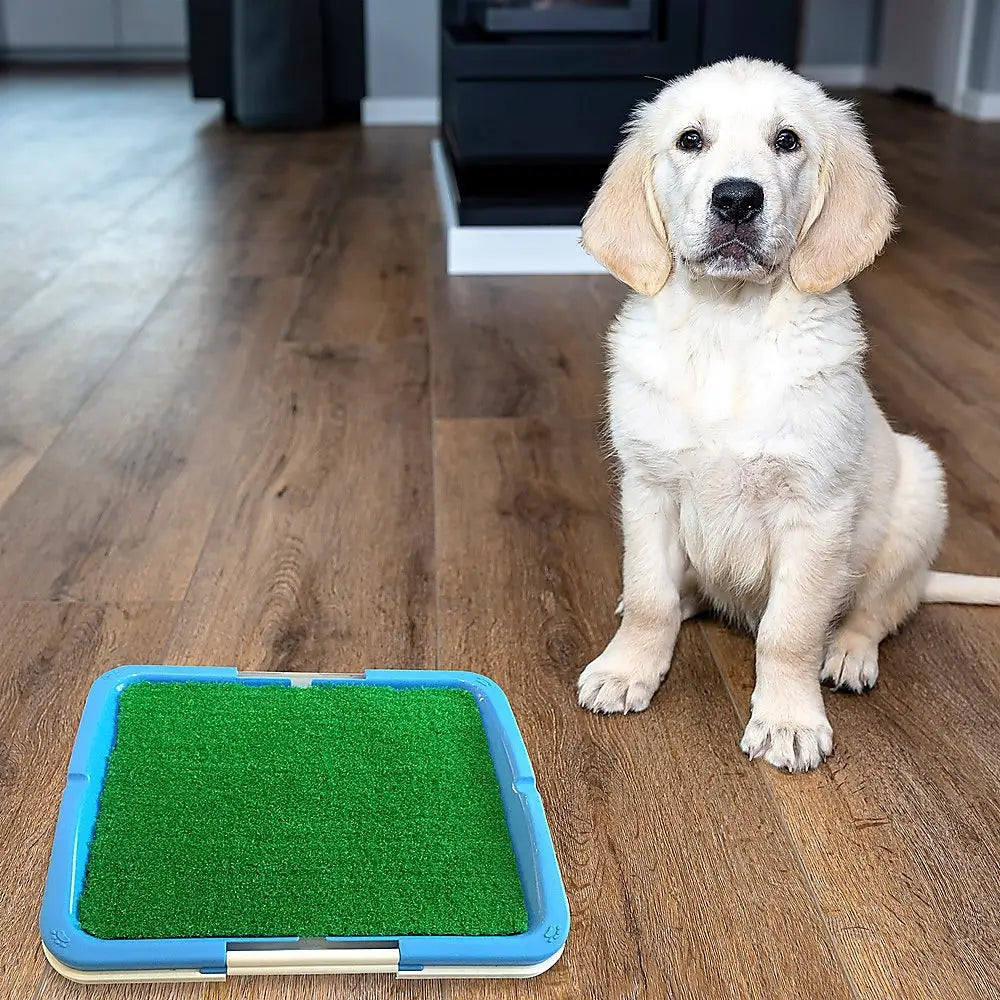 Portable Puppy Pet Toilet - Pet Care > Cleaning & Maintenance > Pet Grooming Supplies