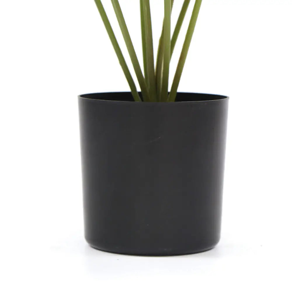 Potted Artificial Split Philodendron Plant With Real Touch Leaves 35cm - Home & Garden > Artificial Plants