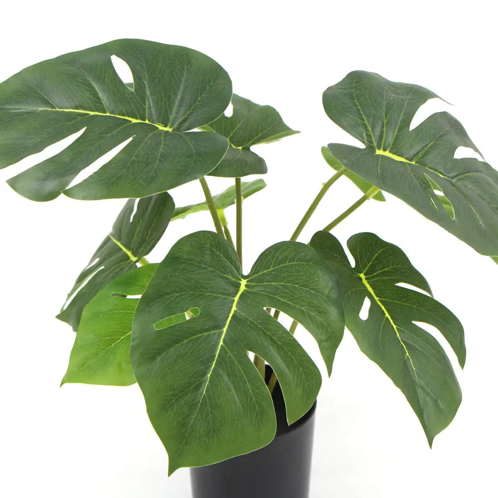 Potted Artificial Split Philodendron Plant With Real Touch Leaves 35cm - Home & Garden > Artificial Plants