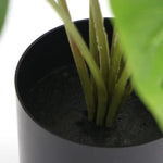 Potted Artificial Split Philodendron Plant With Real Touch Leaves 35cm - Home & Garden > Artificial Plants