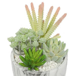 Potted Artificial Succulent Bowl with Marble Pot 20.5cm - Home & Garden > Artificial Plants