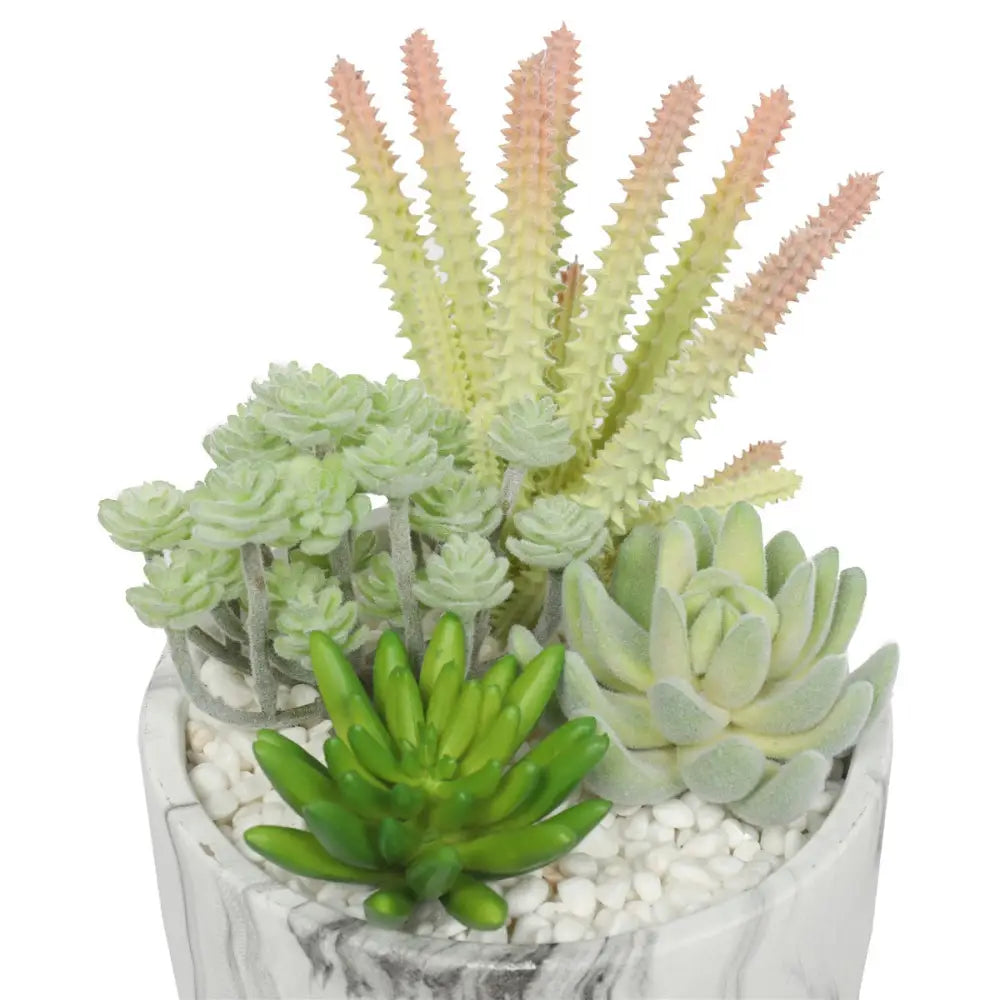 Potted Artificial Succulent Bowl with Marble Pot 20.5cm - Home & Garden > Artificial Plants