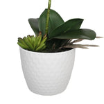 Potted Single Stem White Phalaenopsis Orchid with Decorative Pot 35cm - Home & Garden > Artificial Plants