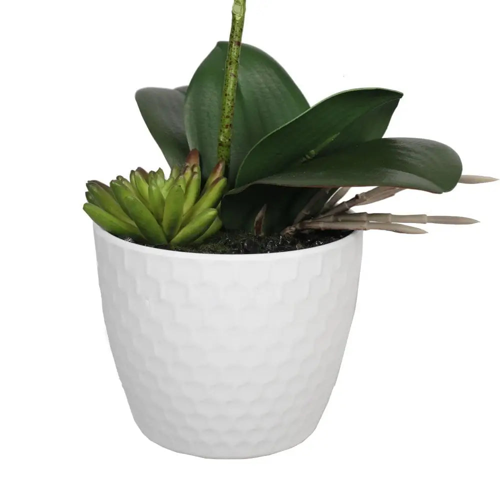 Potted Single Stem White Phalaenopsis Orchid with Decorative Pot 35cm - Home & Garden > Artificial Plants